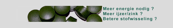 chlorella-alg.jpg (20602 bytes)