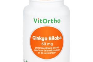 Ginkgo Biloba Extract 60 capsules